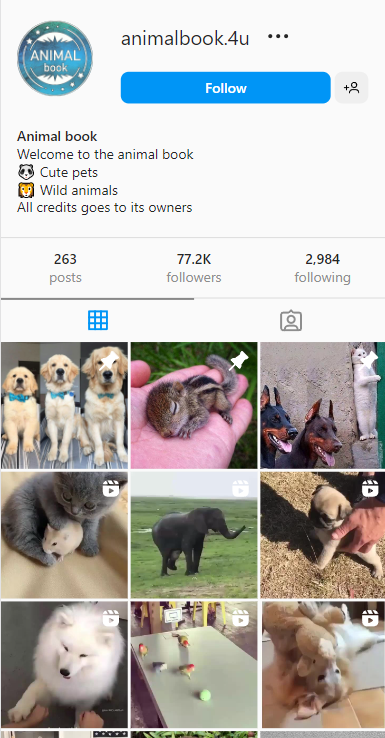 ANIMALS 77K