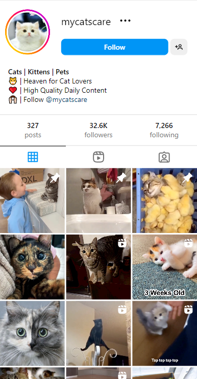 mycatscare
