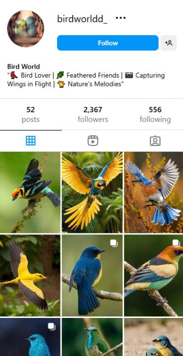 , Checkout