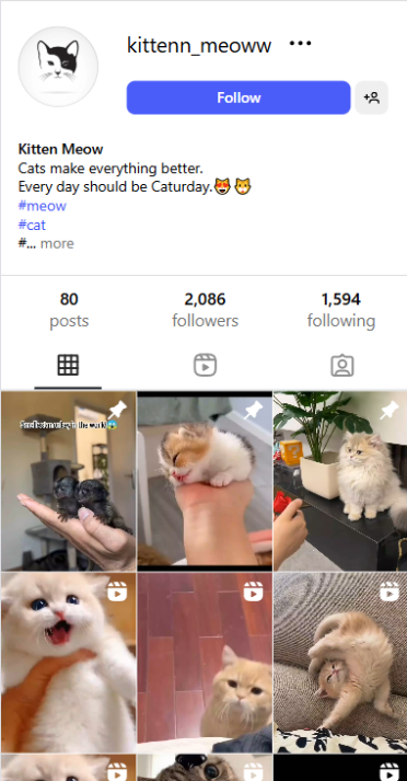 , Checkout