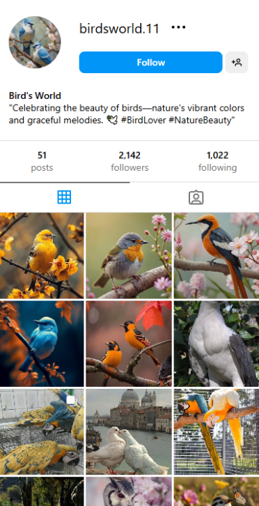 , Checkout