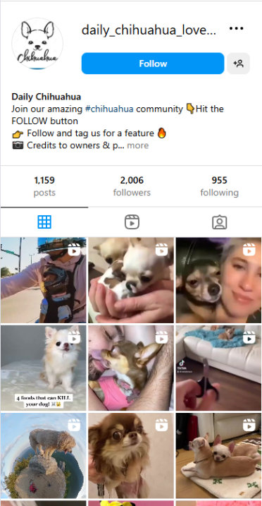, Checkout