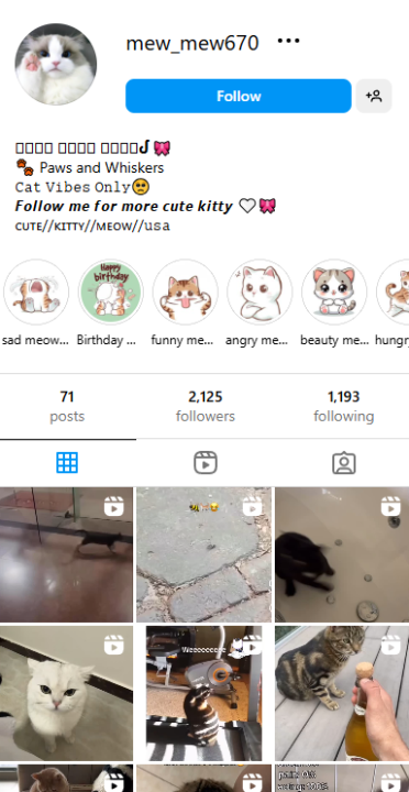 , Checkout