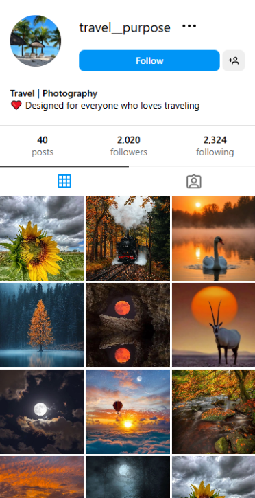 , Checkout