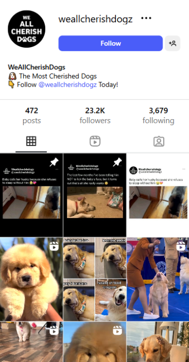, Checkout