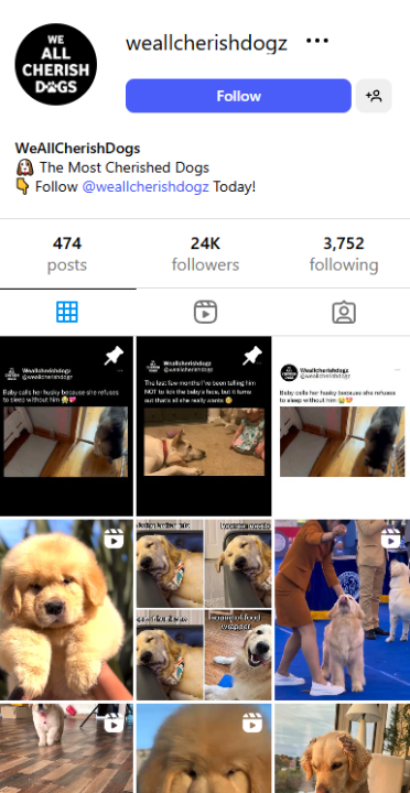 , Checkout