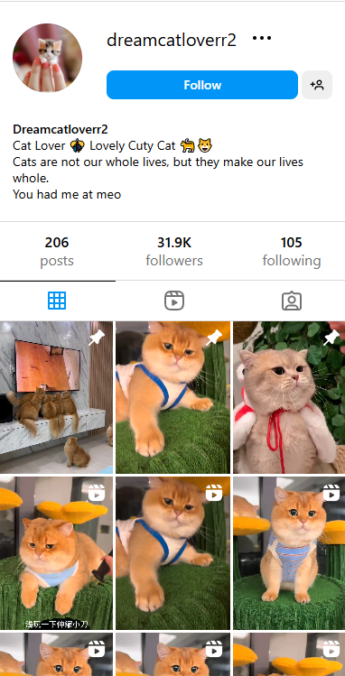 1504
