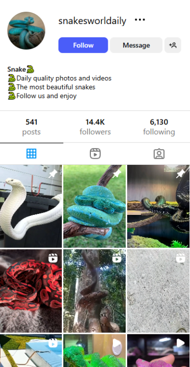 , Checkout