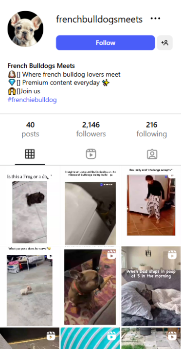 , Checkout