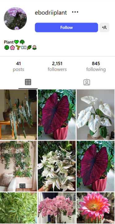 , Checkout